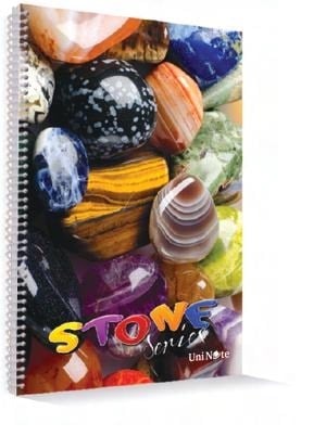 Çınar Karton Kapak A4 120 Yaprak Kareli Defter 12'li Paket
