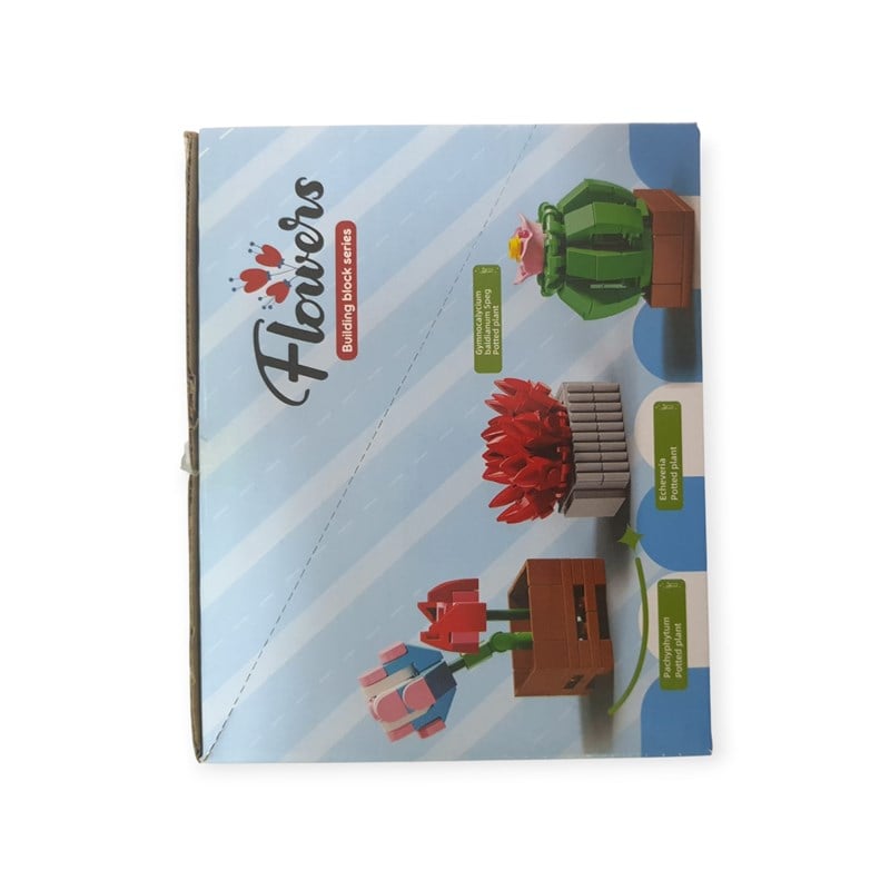 Flowers Lego Çiçek Kaktüs Yapım Seti 