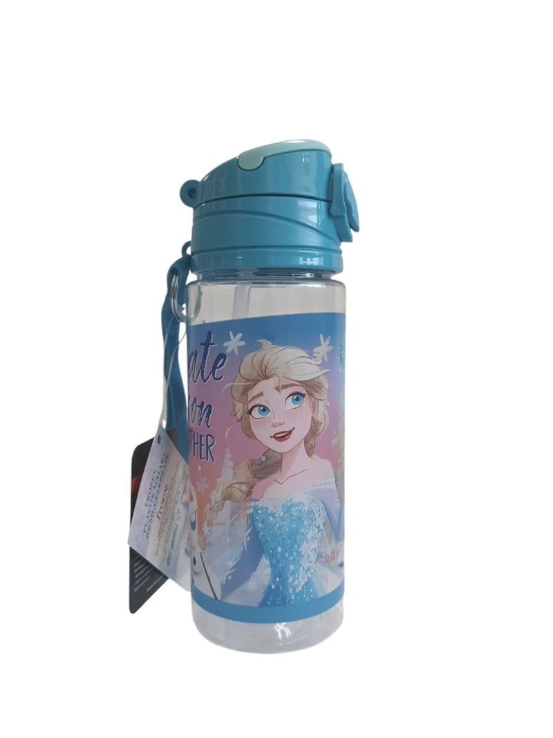 Frocx Frozen Lisanslı 500 ml Matara 42502