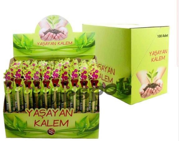 Yaşayan Kalem 100’lü Stand
