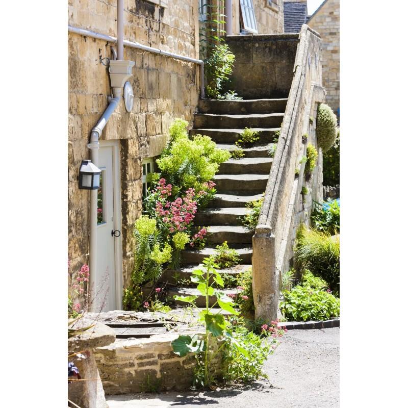 Charming England Book