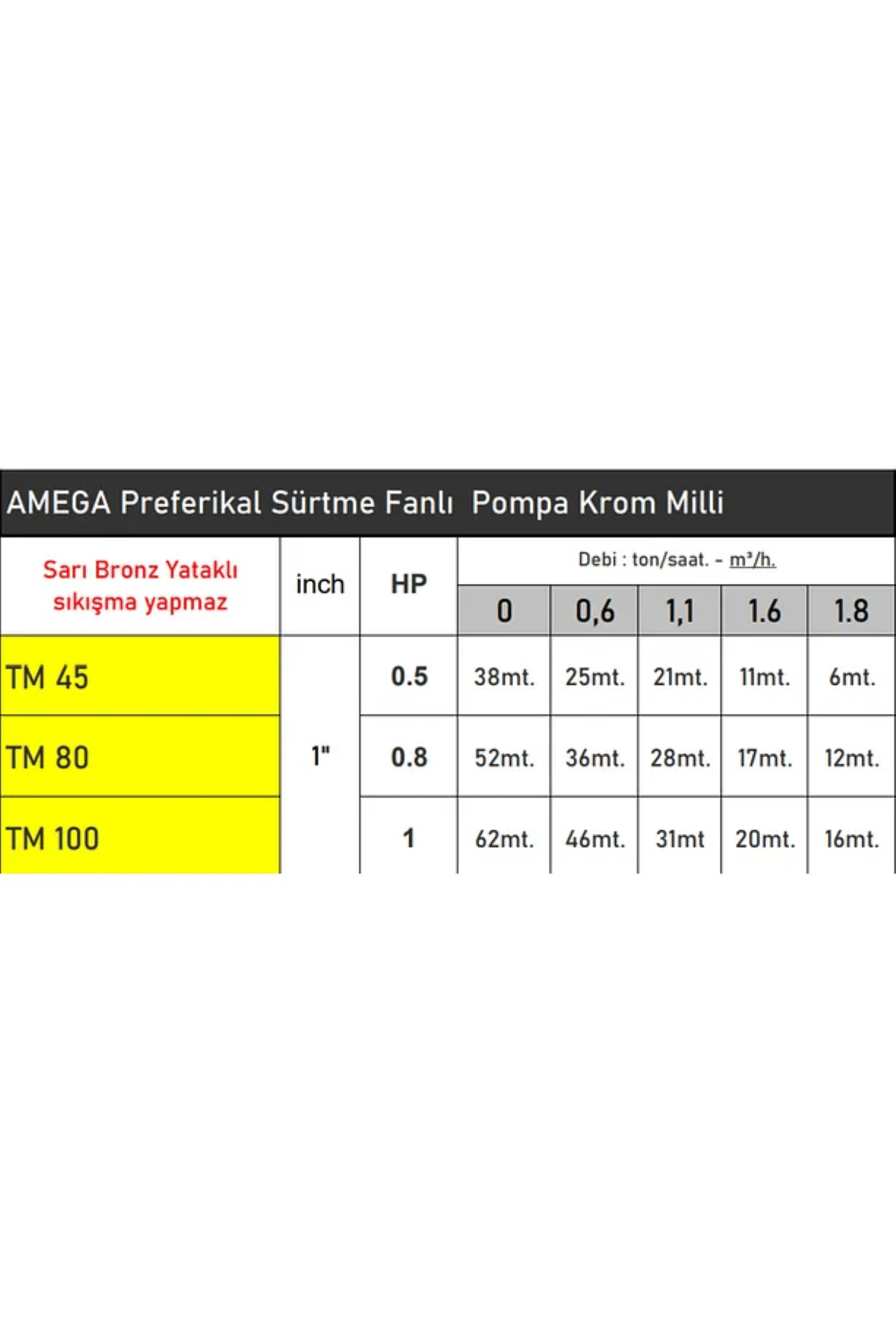 TM80 0.8 HP 220V Preferikal Sürtme Fanlı Bronz Yataklı Krom Milli Su Pompası - Bakır Sargı