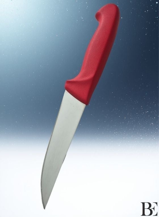 BeKnife Bemiral Bıçak No.0 12 cm 10151.12 Fibrox Kaymaz Saplı Kasap Bıçağı 30mm X 120mm X 2.5mm Kırmızı
