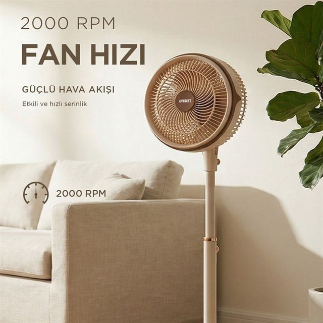 Everest FAN13 Olympos Air Krem/Gold 10