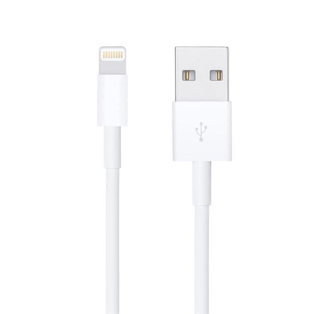 PowerMaster DK-18295 Lightning 1 Metre Iphone Şarj-Data Kablosu