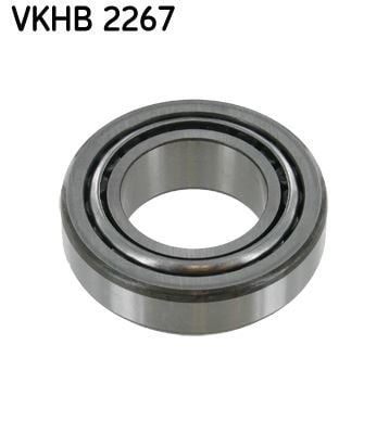 AKS RULMANI
