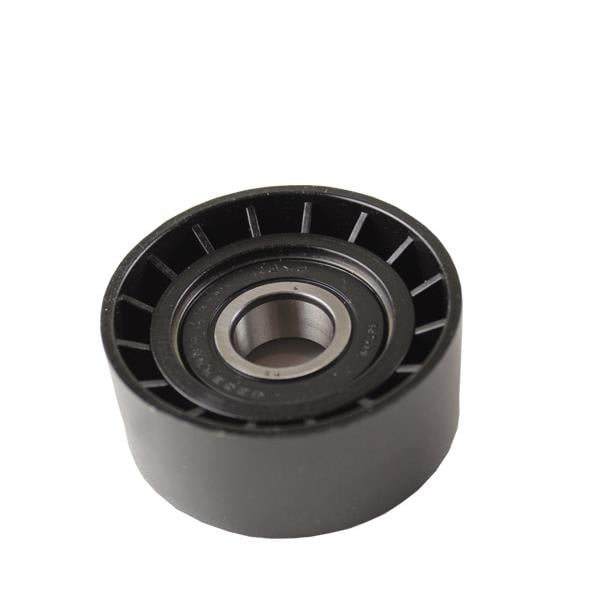 ALTERNATÖR GERGİ RULMANI RENAULT CLIO II 98> KANGOO 97>LAGUNA I-II MASTER II 06>TRAFIC II 06> OPEL MOVANO 06> VIVARO 06> 1.4 1.6 1.9DCI
