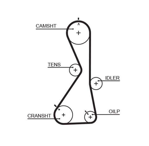 AR-CHARTER LINE TIMING BELTS 1481RM 122X29