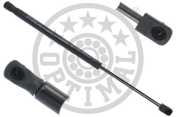 BAGAJ KAPAK AMORTİSÖRÜ DS5 11>15