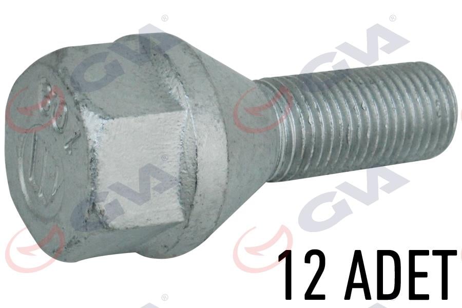 BİJON CİVATASI FIAT DUCATO-RENAULT MASTER AA.24 M14x1.50 PAKET 12
