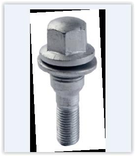 BİJON CİVATASI OYNAR PULLU P307 19 AA