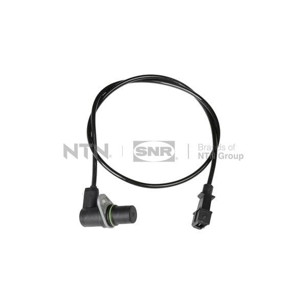 CKP15309