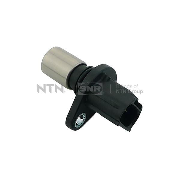CMP16906