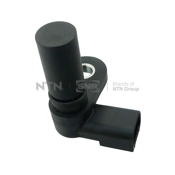CMP18302