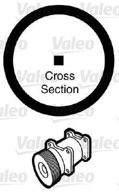 CONTA x20