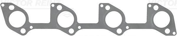 EGZOZ MANİFOLD CONTASI