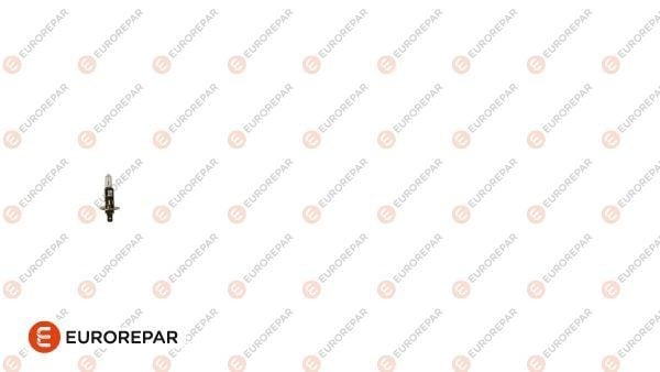 ERP H1 12V-55W AMPUL