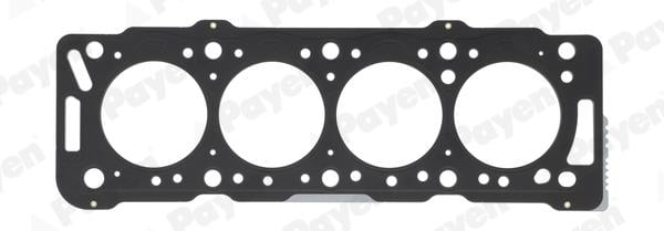 FIAT-PKW SİLİNDİR KAPAK CONTASI