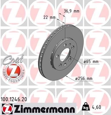 FREN DİSKİ. ÖN. 256 /22-19 MM . HAVA KANALLI. CİVATA KİTİ 986478988-986479B58-DF4235