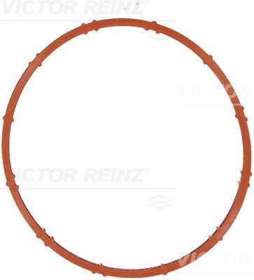 GASKET / SEAL