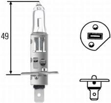 H1 AMPUL KARTON KUTU - Standart 24V Halojen-P14.5s