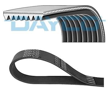 KANALLI KAYIŞ