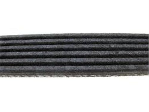 KANALLI KAYIŞ P208-P308-P508-P3008-P5008-EXPERT-JUMPY-C4-C5-DS3-DS5 1.6 THP BOXER-JUMPER-DUCATO 2.5 SOLENZA-SCUDO-ASTRA F-CORSA B-CLIO I-II-KNG-CORDOBA