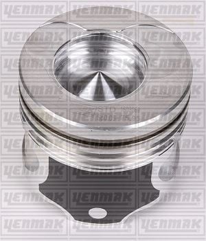 MOTOR PİSTON SEGMAN STD 76.00 25PİM CLIO-KANGOO-SYMBOL 1.5 DCI