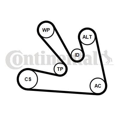 Multi V-Belt Kit Water Pump