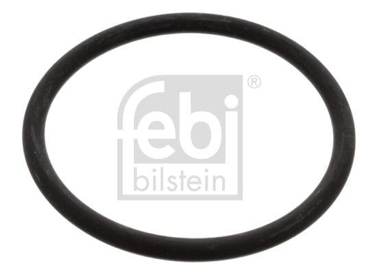 O RING TERMOSTAT İÇİN AMAROK 4MOTION S1 BORA 1J BORA IV
