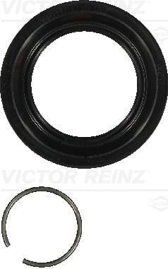 OIL SEAL WITH LOCKING RING