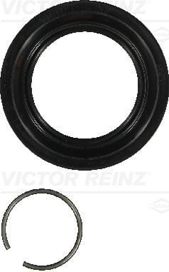 OIL SEAL WITH LOCKING RING