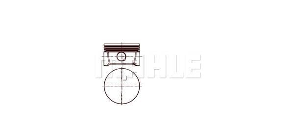 Piston Complete