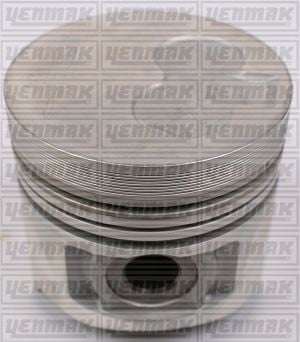 PISTON SEGMAN 0.50 2-4 STAREX / BONGO / K-2500 TCI-YM D4BH
