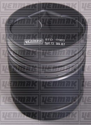 PISTON SEGMAN Q100.0MM STD -KHD-EICHER