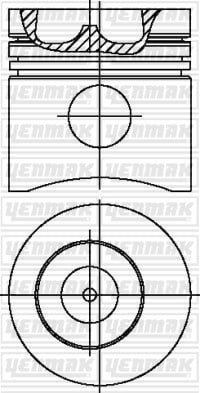 PISTON SEGMAN Q102.0MM STD -MWM-TD229-4 EC-TD229/6