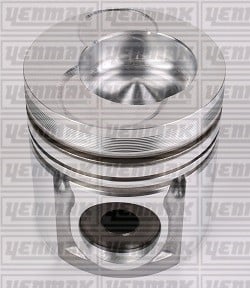 PISTON SEGMAN Q102.0MM STD -RENAULT TRUCK-MIDR 06.02.26 D EURO 2