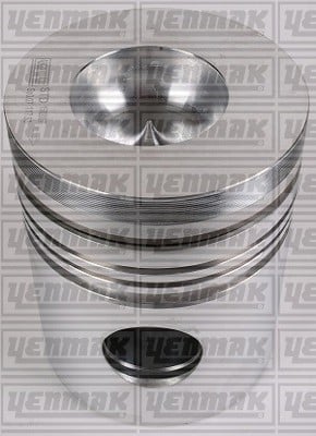 PISTON SEGMAN Q118.0MM STD -DAF-2300