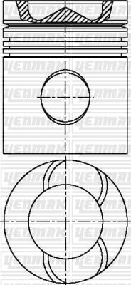 PISTON SEGMAN Q127.0MM STD -SCANIA-DS 11.41