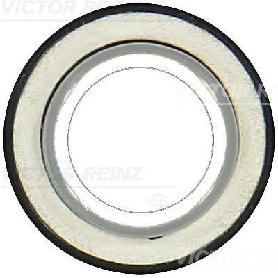 RADIAL OIL SEAL. CRANKSHAFT