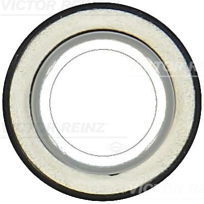 RADIAL OIL SEAL. CRANKSHAFT