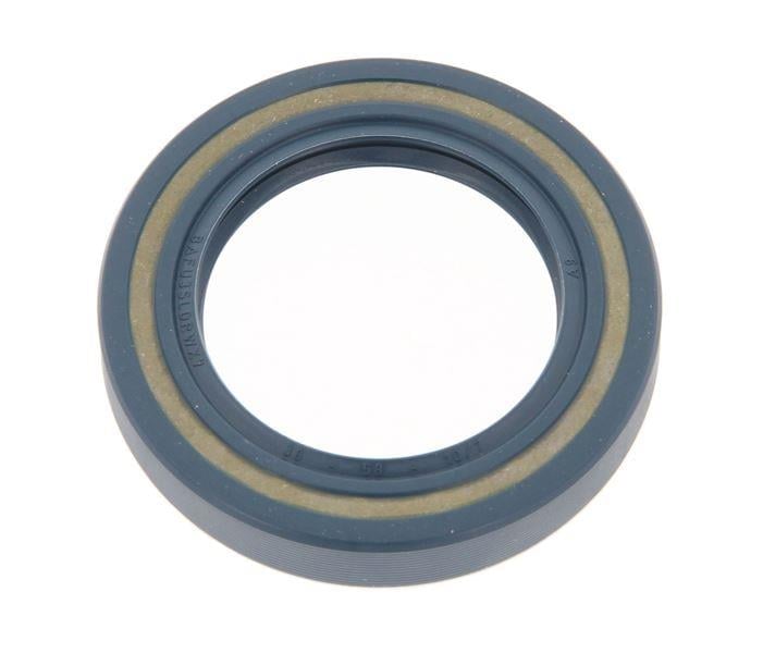 RADIAL SHAFT SEAL / RSS