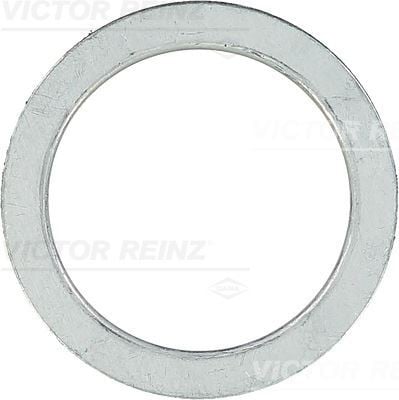 RING 43X58X1.9