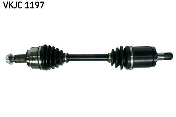RULMAN VKJC 1197
