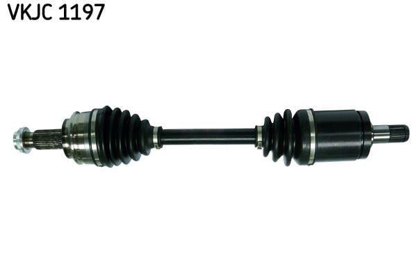 RULMAN VKJC 1197