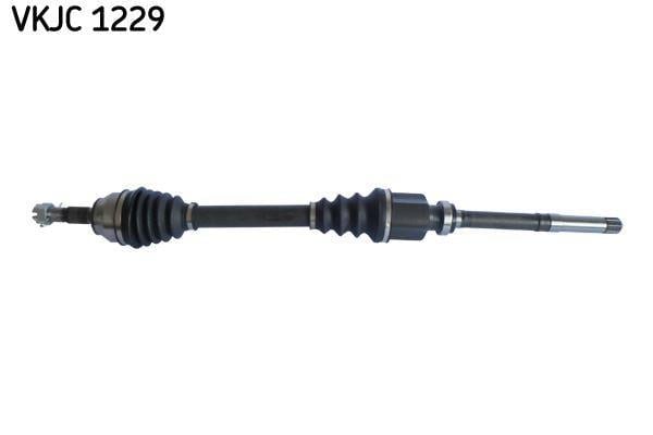 RULMAN VKJC 1229
