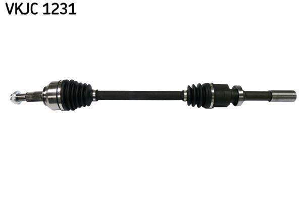 RULMAN VKJC 1231