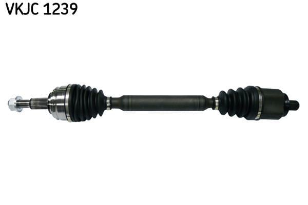 RULMAN VKJC 1239