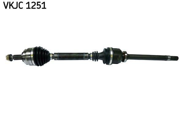 RULMAN VKJC 1251