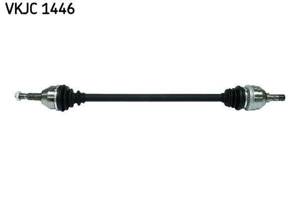 RULMAN VKJC 1446